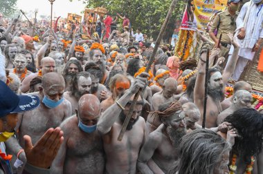 Haridwar, Uttarakhand, Hindistan - 13 Nisan 2021: Hindu çıplak sadhus, naga babas, naga sanyasis Ganj nehrinde shahi snaan yemek ve Har Har Mahadev diye bağırmak için koşuyor. Kumbhmela olayı.