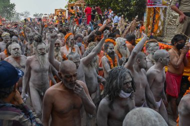 Haridwar, Uttarakhand, Hindistan - 13 Nisan 2021: Purno Kumbhmela etkinliği. Hindu çıplak sadhus, naga babas, naga sanyasis Ganj nehrinde shahi snaan yemek ve Har Har Mahadev diye bağırmak için koşuyor..