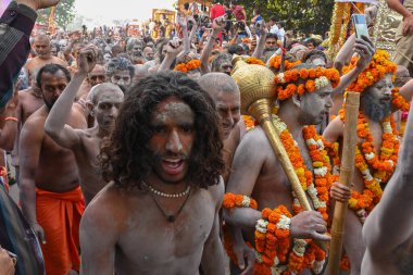 Haridwar, Uttarakhand, Hindistan - 13 Nisan 2021: Purno Kumbhmela etkinliği. Hindu çıplak sadhus, naga babas, naga sanyasis Ganj nehrinde shahi snaan yemek ve Har Har Mahadev diye bağırmak için koşuyor..