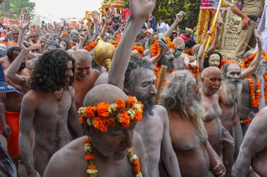 Haridwar, Uttarakhand, Hindistan - 13 Nisan 2021: Purno Kumbhmela etkinliği. Hindu çıplak sadhus, naga babas, naga sanyasis Ganj nehrinde shahi snaan yemek ve Har Har Mahadev diye bağırmak için koşuyor..