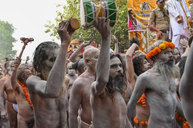 Haridwar, Uttarakhand, Hindistan - 13 Nisan 2021: Purno Kumbhmela etkinliği. Hindu çıplak sadhus, naga babas, naga sanyasis Ganj nehrinde shahi snaan yemek ve Har Har Mahadev diye bağırmak için koşuyor..