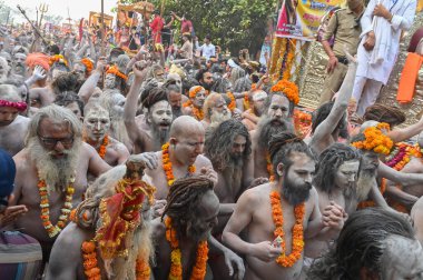 Haridwar, Uttarakhand, Hindistan - 13 Nisan 2021: Purno Kumbhmela etkinliği. Hindu çıplak sadhus, naga babas, naga sanyasis Ganj nehri üzerinde shahi snaan yemek ve Har Har Mahadev diye bağırmak için koşuyor..