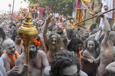 Haridwar, Uttarakhand, Hindistan - 13 Nisan 2021: Hindu çıplak sadhus, naga babas, naga sanyasis Ganj nehrinde shahi snaan yemek ve Har Har Mahadev diye bağırmak için koşuyor. Kumbhmela olayı.