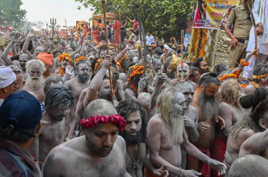 Haridwar, Uttarakhand, India - 13th April 2021 : Purno Kumbhmela event.Hindu naked sadhus, naga babas, naga sanyasis running for having shahi snaan on river Ganges and shouting Har Har Mahadev. clipart