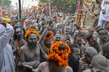 Haridwar, Uttarakhand, Hindistan - 13 Nisan 2021: Purno Kumbhmela etkinliği. Hindu çıplak sadhus, naga babas, naga sanyasis Ganj nehri üzerinde shahi snaan yemek ve Har Har Mahadev diye bağırmak için koşuyor..