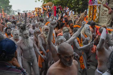 Haridwar, Uttarakhand, Hindistan - 13 Nisan 2021: Purno Kumbhmela etkinliği. Hindu çıplak sadhus, naga babas, naga sanyasis Ganj nehrinde shahi snaan yemek ve Har Har Mahadev diye bağırmak için koşuyor..