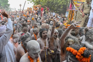 Haridwar, Uttarakhand, Hindistan - 13 Nisan 2021: Hindu çıplak sadhus, naga babas, naga sanyasis Ganj nehrinde shahi snaan yemek ve Har Har Mahadev diye bağırmak için koşuyor. Kumbhmela olayı.