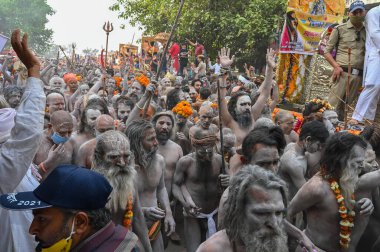 Haridwar, Uttarakhand, Hindistan - 13 Nisan 2021: Purno Kumbhmela etkinliği. Hindu çıplak sadhus, naga babas, naga sanyasis Ganj nehri üzerinde shahi snaan yemek ve Har Har Mahadev diye bağırmak için koşuyor..