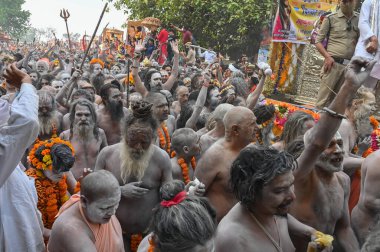 Haridwar, Uttarakhand, Hindistan - 13 Nisan 2021: Purno Kumbhmela etkinliği. Hindu çıplak sadhus, naga babas, naga sanyasis Ganj nehri üzerinde shahi snaan yemek ve Har Har Mahadev diye bağırmak için koşuyor..