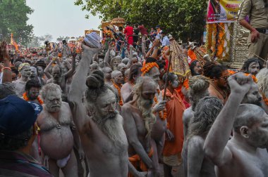 Haridwar, Uttarakhand, Hindistan - 13 Nisan 2021: Purno Kumbhmela etkinliği. Hindu çıplak sadhus, naga babas, naga sanyasis Ganj nehrinde shahi snaan yemek ve Har Har Mahadev diye bağırmak için koşuyor..