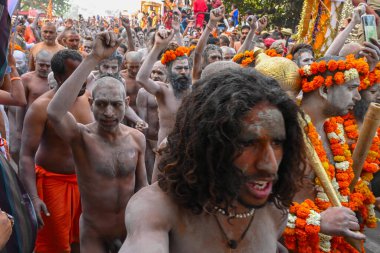 Haridwar, Uttarakhand, Hindistan - 13 Nisan 2021: Hindu çıplak sadhus, naga babas, naga sanyasis Ganj nehrinde shahi snaan yemek ve Har Har Mahadev diye bağırmak için koşuyor. Kumbhmela olayı.