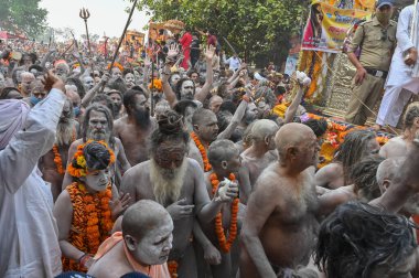 Haridwar, Uttarakhand, Hindistan - 13 Nisan 2021: Hindu çıplak sadhus, naga babas, naga sanyasis Ganj nehrinde shahi snaan yemek ve Har Har Mahadev diye bağırmak için koşuyor. Kumbhmela olayı.