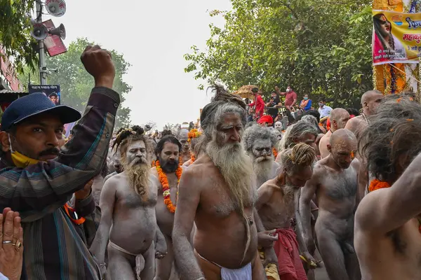 Haridwar, Uttarakhand, Hindistan - 13 Nisan 2021: Purno Kumbhmela etkinliği. Hindu çıplak sadhus, naga babas, naga sanyasis Ganj nehrinde shahi snaan yemek ve Har Har Mahadev diye bağırmak için koşuyor..