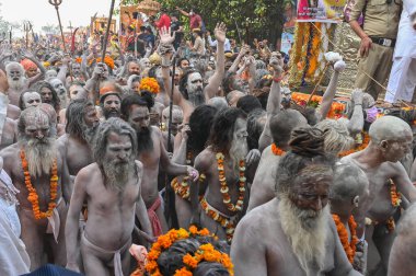 Haridwar, Uttarakhand, Hindistan - 13 Nisan 2021: Hindu çıplak sadhus, naga babas, naga sanyasis Ganj nehrinde shahi snaan yemek ve Har Har Mahadev diye bağırmak için koşuyor. Kumbhmela olayı.