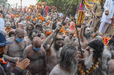Haridwar, Uttarakhand, Hindistan - 13 Nisan 2021: Purno Kumbhmela etkinliği. Hindu çıplak sadhus, naga babas, naga sanyasis Ganj nehri üzerinde shahi snaan yemek ve Har Har Mahadev diye bağırmak için koşuyor..