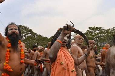 Haridwar, Uttarakhand, India - 13th April 2021 : Aggressive Hindu naked sadhu, naga babas and naga sanyasin blessing devotees with open sword, talwar, shouting Har Har Mahadev. Kumbhmela event. clipart