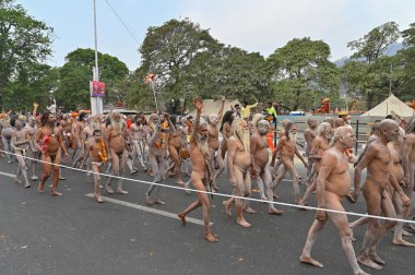 Haridwar, Uttarakhand, Hindistan - 13 Nisan 2021: Purno Kumbhmela etkinliği. Hindu çıplak sadhus, naga babas, naga sanyasis Ganj nehri üzerinde shahi snaan yemek ve Har Har Mahadev diye bağırmak için koşuyor..