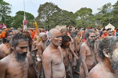 Haridwar, Uttarakhand, India - 13th April 2021 : Purno Kumbhmela event.Hindu naked sadhus, naga babas, naga sanyasis running for having shahi snaan on river Ganges and shouting Har Har Mahadev. clipart