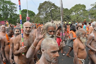 Haridwar, Uttarakhand, Hindistan - 13 Nisan 2021: Hindu çıplak sadhus, naga babas, naga sanyasis kutsanmışlığı Ganj Nehri 'nde shahi snaan yemeden ve Har Har Mahadev.Kumbhmela etkinliği diye bağırmadan önce..