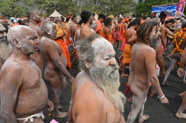 Haridwar, Uttarakhand, Hindistan - 13 Nisan 2021: Hindu çıplak sadhus, naga babas, naga sanyasis Ganj nehrinde shahi snaan yemek ve Har Har Mahadev diye bağırmak için koşuyor. Kumbhmela olayı.