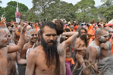 Haridwar, Uttarakhand, Hindistan - 13 Nisan 2021: Hindu çıplak sadhus, naga babas, naga sanyasis Ganj nehrinde shahi snaan yemek ve Har Har Mahadev diye bağırmak için koşuyor. Kumbhmela olayı.