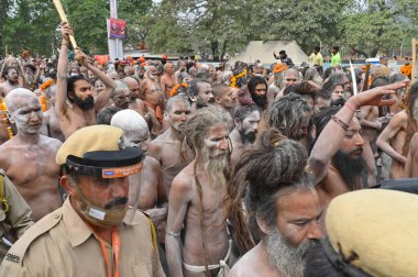 Haridwar, Uttarakhand, Hindistan - 13 Nisan 2021: Hindu çıplak sadhus, naga babas, naga sanyasis Ganj nehrinde shahi snaan yemek ve Har Har Mahadev diye bağırmak için koşuyor. Kumbhmela olayı.