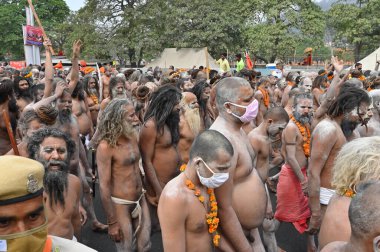 Haridwar, Uttarakhand, Hindistan - 13 Nisan 2021: Purno Kumbhmela etkinliği. Hindu çıplak sadhus, naga babas, naga sanyasis Ganj nehri üzerinde shahi snaan yemek ve Har Har Mahadev diye bağırmak için koşuyor..