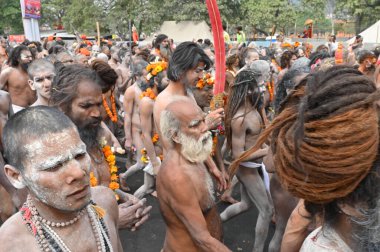 Haridwar, Uttarakhand, India - 13th April 2021 : Purno Kumbhmela event.Hindu naked sadhus, naga babas, naga sanyasis running for having shahi snaan on river Ganges and shouting Har Har Mahadev. clipart