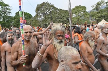 Haridwar, Uttarakhand, Hindistan - 13 Nisan 2021: Hindu çıplak sadhus, naga babas, naga sanyasis kutsanmışlığı Ganj Nehri 'nde shahi snaan yemeden ve Har Har Mahadev.Kumbhmela etkinliği diye bağırmadan önce..
