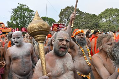Haridwar, Uttarakhand, Hindistan - 13 Nisan 2021: Hindu çıplak sadhus, naga babas, naga sanyasis kutsaması Gada, topuz, Ganj nehrinde shahi snaan yemeden önce. Kumbhmela olayı.