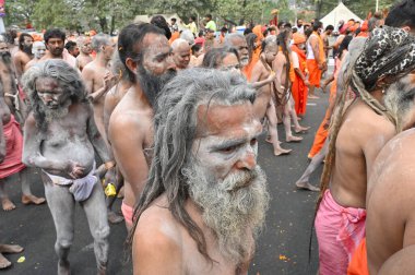 Haridwar, Uttarakhand, Hindistan - 13 Nisan 2021: Hindu çıplak sadhus, naga babas, naga sanyasis Ganj nehrinde shahi snaan yemek ve Har Har Mahadev diye bağırmak için koşuyor. Kumbhmela olayı.