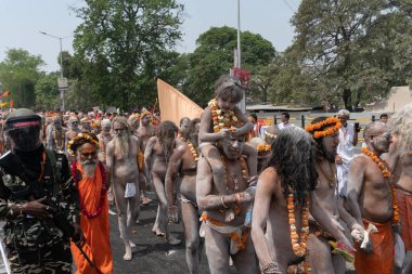 Haridwar, Uttarakhand, Hindistan - 16 Nisan 2021: Hindu çıplak keşişler, naga sadhus, naga babas, naga sanyasis kutsal küllerle kaplı bedenler Ganj nehrinde shahi snaan yemek için yürüyorlar. Kumbhmela olayı.