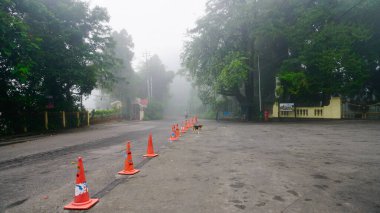 Himalaya dağlarından geçen beton yol ve yemyeşil orman. Darjeeling, Batı Bengal, Hindistan 'da musonun doğal güzelliği..