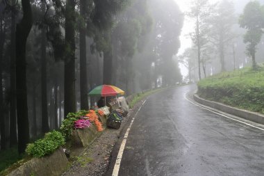 Katırlar, pancar, havuç ve diğer sebzeler yol kenarındaki markette, Darjeeling, Batı Bengal, Hindistan 'da satılıyor..