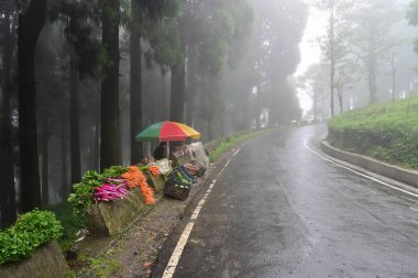 Katırlar, pancar, havuç ve diğer sebzeler yol kenarındaki markette, Darjeeling, Batı Bengal, Hindistan 'da satılıyor..
