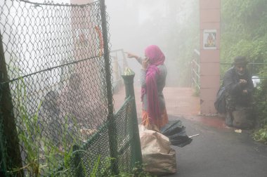 Darjeeling, Batı Bengal, Hindistan-11.08.2023: Mahakal Tapınağı veya Mahakal Mandir 'deki Hindu tapınağı, Shiva ve Lord Buddhha' ya adanmıştır. Muson sisiyle kaplı yemyeşil bir yol..