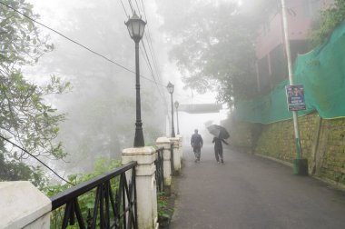 Darjeeling, Batı Bengal, Hindistan -11.08.2023: Sisli bir sabah Darjeeling, Darjeeling, Batı Bengal, Hindistan 'da sağlık bilincine sahip genç erkekler yürüyor. Spor giyimli, genç Himalaya yaşam tarzı.