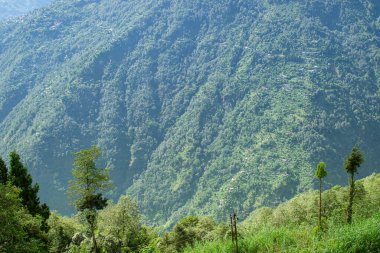 Himalaya dağlarının yeşil ormanlarının manzaralı güzelliği Okhrey, Sikkim, Hindistan. Okhrey köyü Sikkim 'in ücra bir köşesinde sakin Himalaya dağları turistler tarafından dinleniyor..