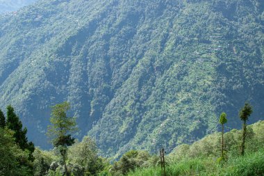 Himalaya dağlarının yeşil ormanlarının manzaralı güzelliği Okhrey, Sikkim, Hindistan. Okhrey köyü Sikkim 'in ücra bir köşesinde sakin Himalaya dağları turistler tarafından dinleniyor..