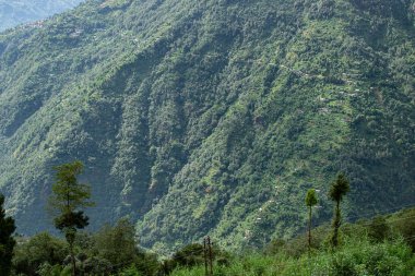 Himalaya dağlarının yeşil ormanlarının manzaralı güzelliği Okhrey, Sikkim, Hindistan. Okhrey köyü Sikkim 'in ücra bir köşesinde sakin Himalaya dağları turistler tarafından dinleniyor..