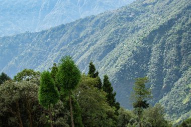 Himalaya dağlarının yeşil ormanlarının manzaralı güzelliği Okhrey, Sikkim, Hindistan. Okhrey köyü Sikkim 'in ücra bir köşesinde sakin Himalaya dağları turistler tarafından dinleniyor..