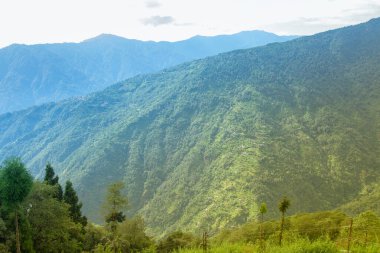 Himalaya dağlarının yeşil ormanlarının manzaralı güzelliği Okhrey, Sikkim, Hindistan. Okhrey köyü Sikkim 'in ücra bir köşesinde sakin Himalaya dağları turistler tarafından dinleniyor..