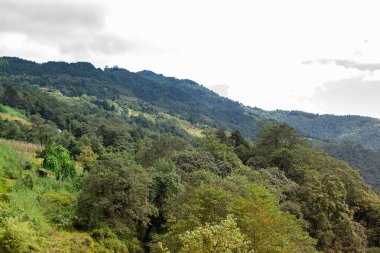 Himalaya dağlarının yeşil ormanlarının manzaralı güzelliği Okhrey, Sikkim, Hindistan. Okhrey köyü Sikkim 'in ücra bir köşesinde sakin Himalaya dağları turistler tarafından dinleniyor..