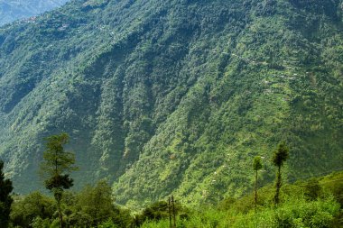 Himalaya dağlarının yeşil ormanlarının manzaralı güzelliği Okhrey, Sikkim, Hindistan. Okhrey köyü Sikkim 'in ücra bir köşesinde sakin Himalaya dağları turistler tarafından dinleniyor..