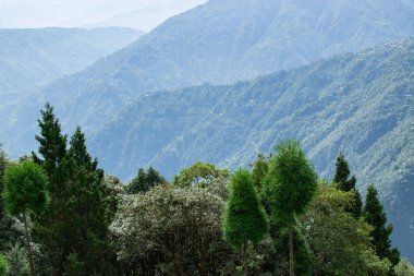 Himalaya dağlarının yeşil ormanlarının manzaralı güzelliği Okhrey, Sikkim, Hindistan. Okhrey köyü Sikkim 'in ücra bir köşesinde sakin Himalaya dağları turistler tarafından dinleniyor..
