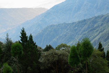 Himalaya dağlarının yeşil ormanlarının manzaralı güzelliği Okhrey, Sikkim, Hindistan. Okhrey köyü Sikkim 'in ücra bir köşesinde sakin Himalaya dağları turistler tarafından dinleniyor..