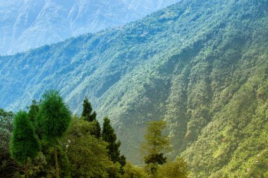 Himalaya dağlarının yeşil ormanlarının manzaralı güzelliği Okhrey, Sikkim, Hindistan. Okhrey köyü Sikkim 'in ücra bir köşesinde sakin Himalaya dağları turistler tarafından dinleniyor..