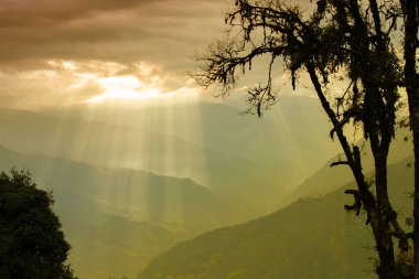 Rabangla, Sikkim, Hindistan 'dan gelen güneş ışınları. Ön planda Slihoutte ağaçları ve arka planda Himalaya dağları. Sikkim 'li Büyük Himalayalar' ın muhteşem manzarası..