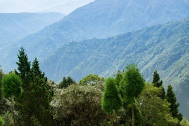 Himalaya dağlarının yeşil ormanlarının manzaralı güzelliği Okhrey, Sikkim, Hindistan. Okhrey köyü Sikkim 'in ücra bir köşesinde sakin Himalaya dağları turistler tarafından dinleniyor..