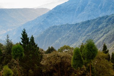 Himalaya dağlarının yeşil ormanlarının manzaralı güzelliği Okhrey, Sikkim, Hindistan. Okhrey köyü Sikkim 'in ücra bir köşesinde sakin Himalaya dağları turistler tarafından dinleniyor..